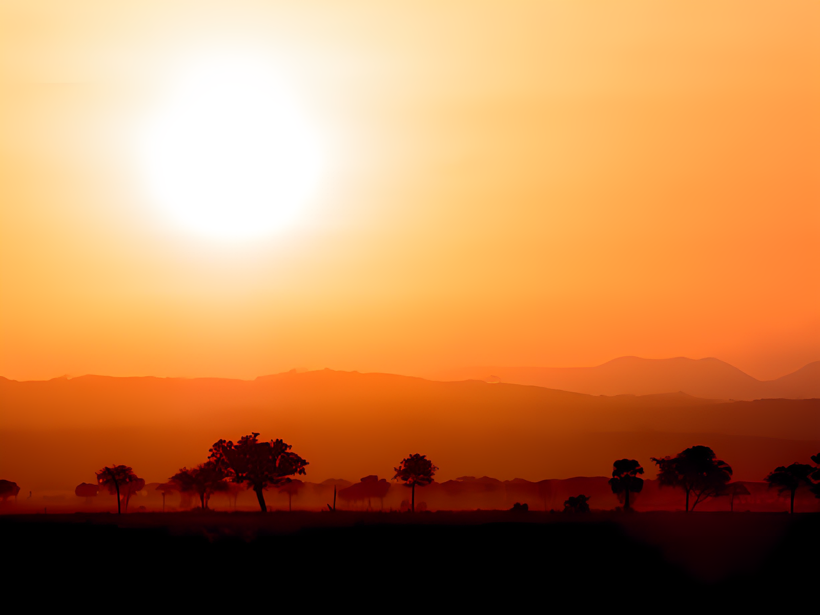 4 Days Fly-in & Fly-out Serengeti Safari