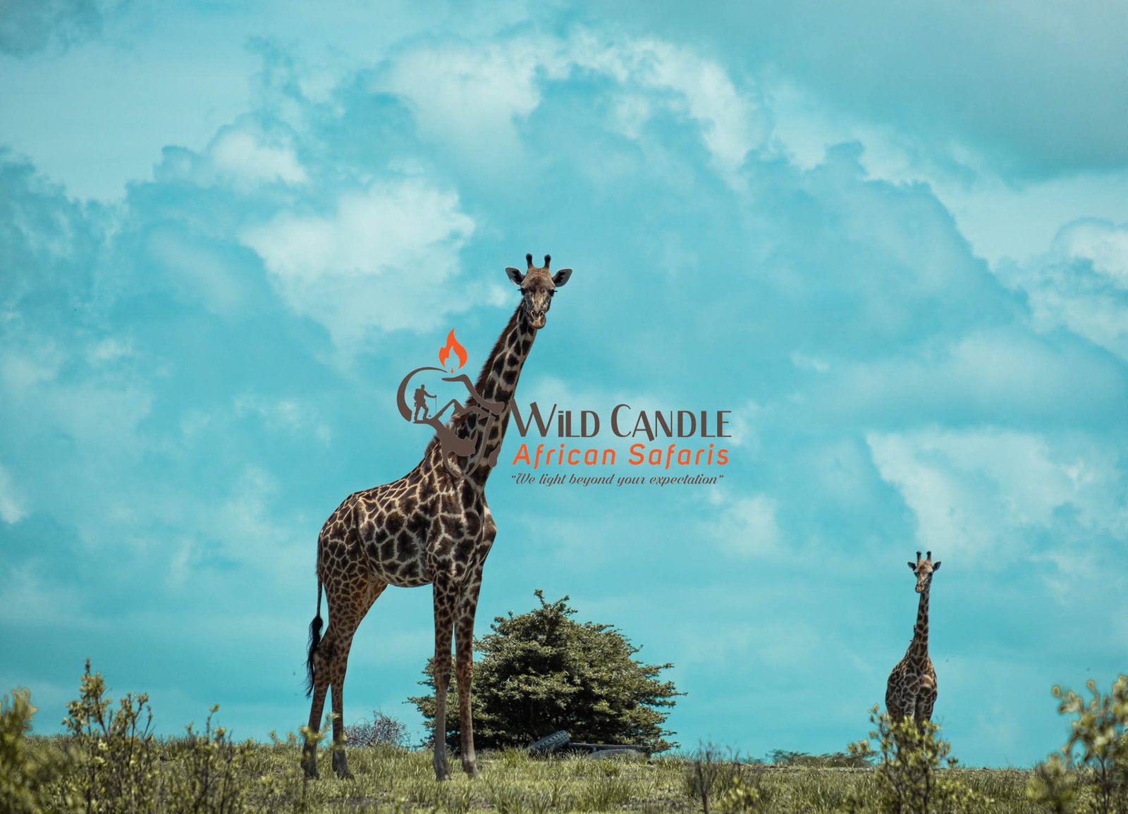 5-DAY BUDGET SAFARI (Tarangire, Manyara, Serengeti & Ngorongoro crater)