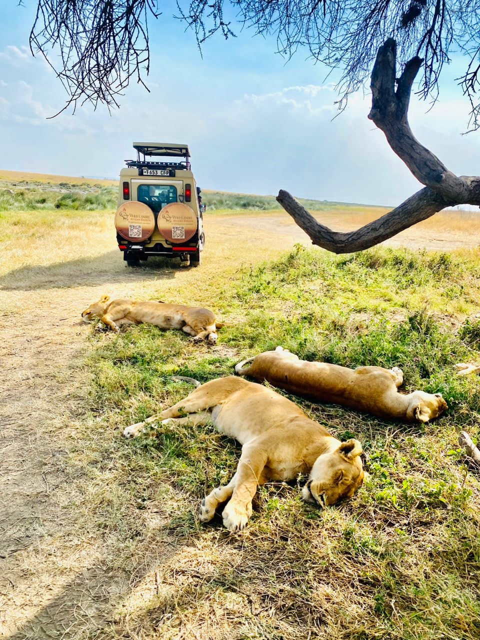 Serengeti National Park