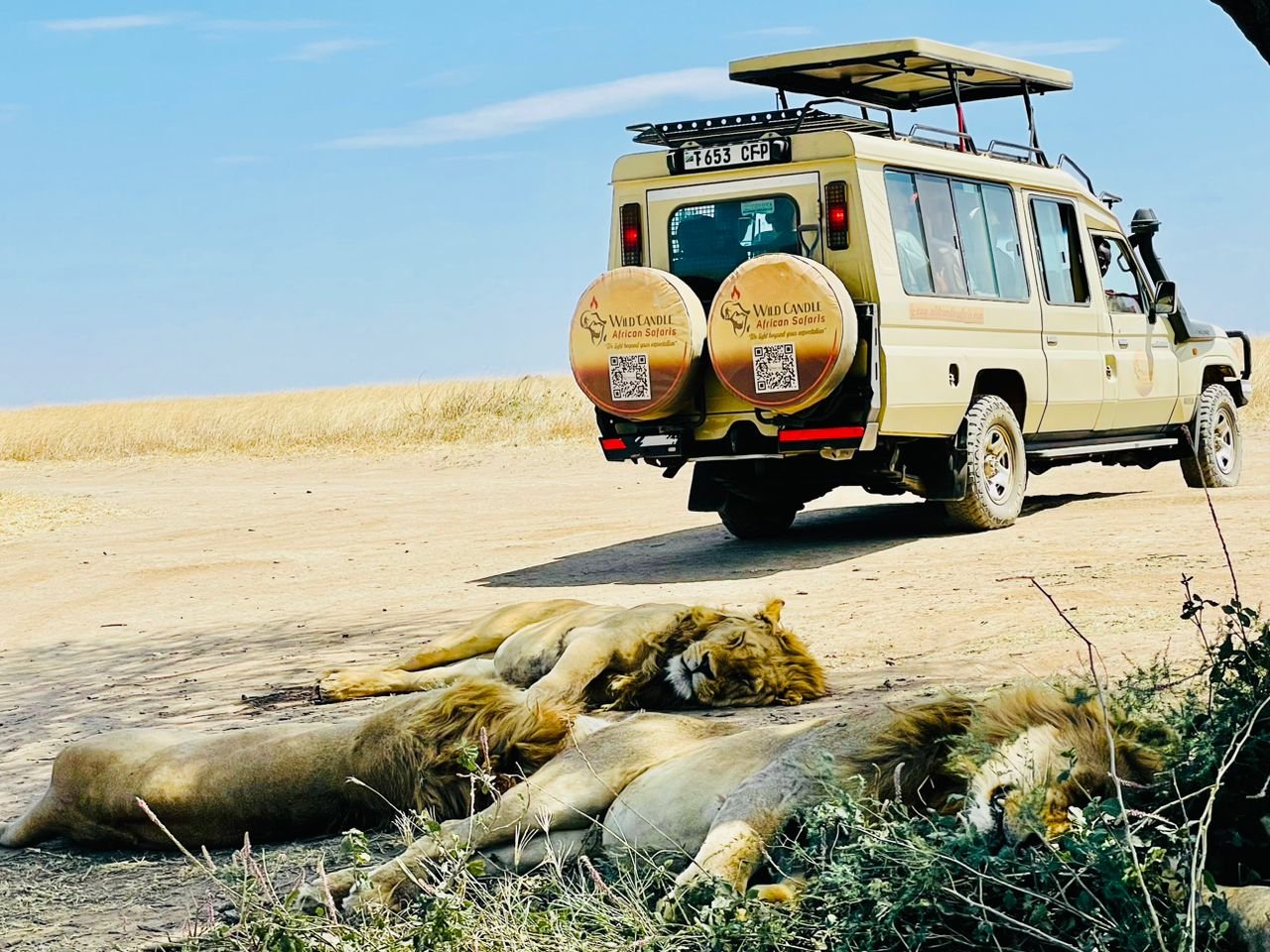 6-DAY LUXURY TANZANIA SAFARI (Tarangire, Manyara, Serengeti & Ngorongoro crater)