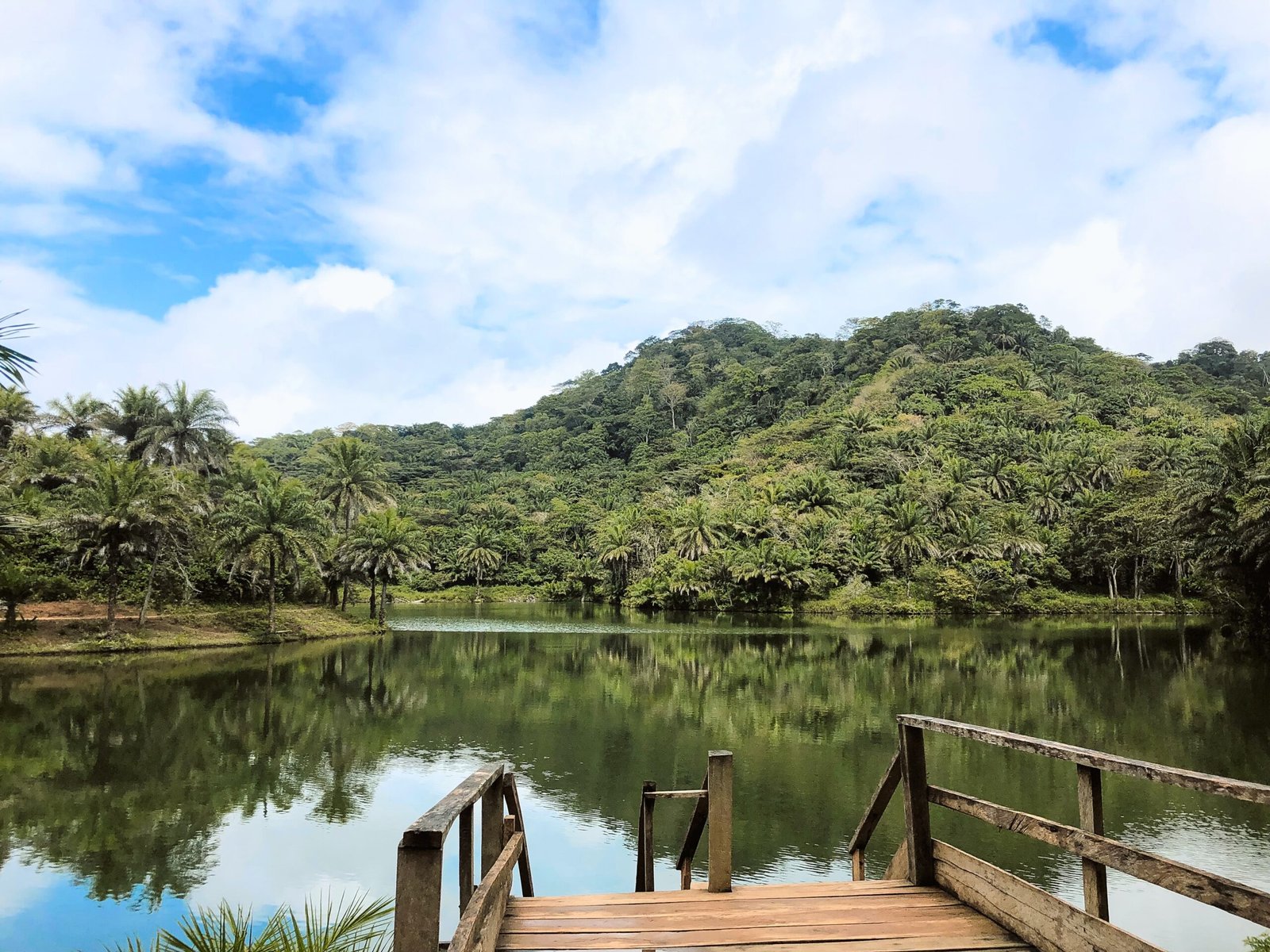 Day Trip To Magoroto Forest