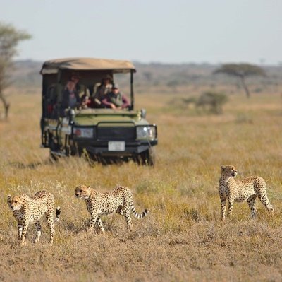 7 Days Selous, Mikumi & Udzungwa