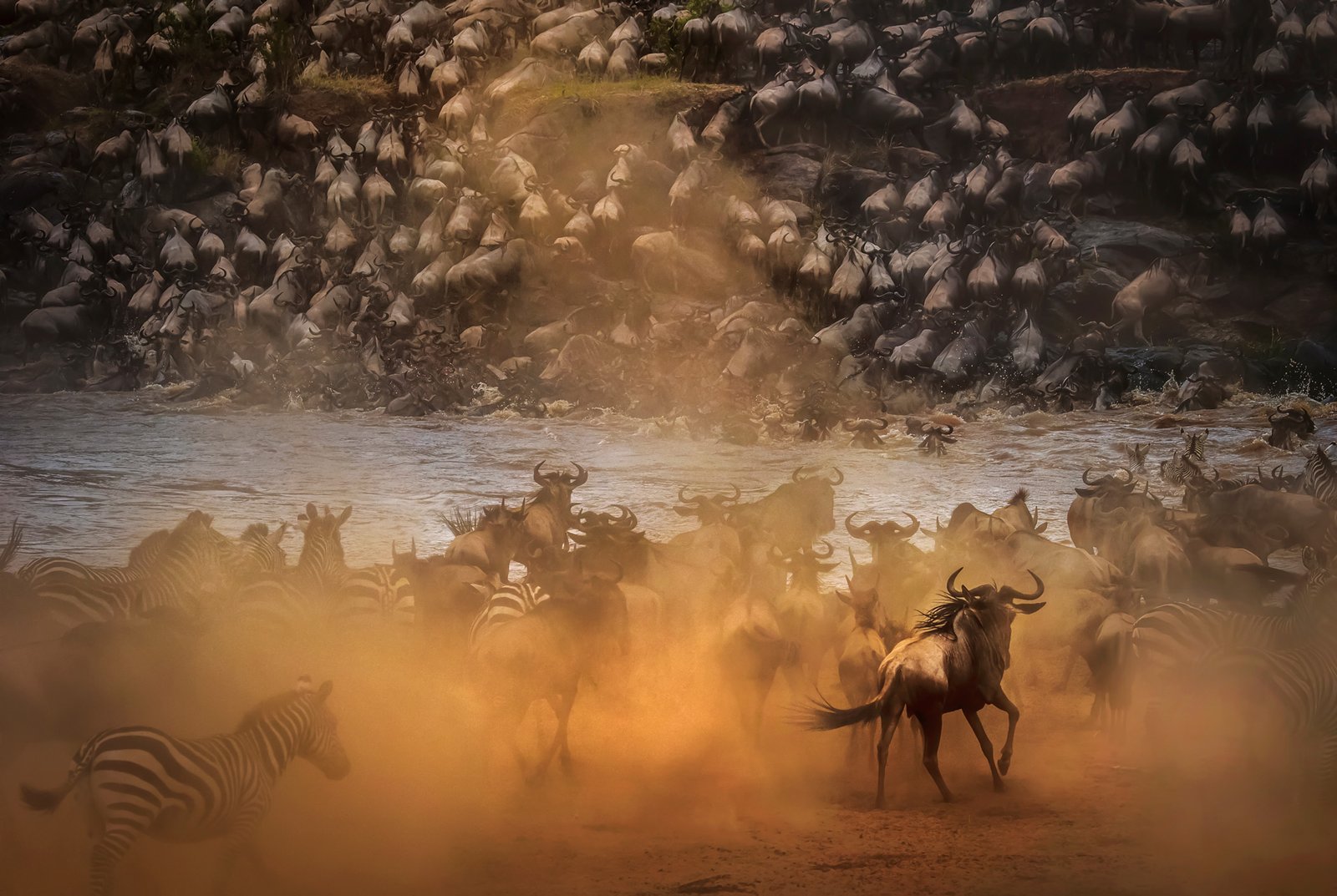 Wildebeest migration in the Serengeti
